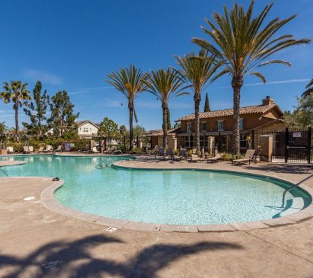 Outdoor swimming pool surrounded by palm trees and lounge chairs under a clear blue sky in a residential area.